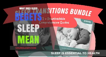 Sleep Begets Sleep: Understanding the Sleep-Wake Cycle