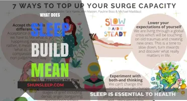 Sleep Builds a Better You