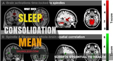 Sleep Consolidation: Maximizing Deep Sleep for Brain Health