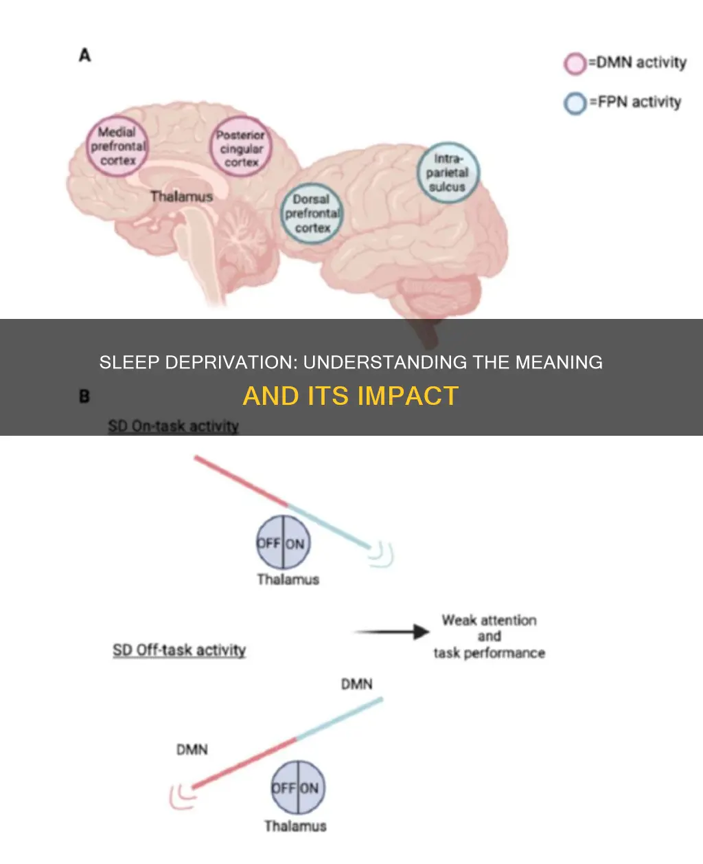 what does sleep deprivation mean