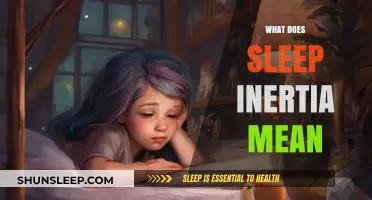 Sleep Inertia: Understanding the Grogginess After Waking Up