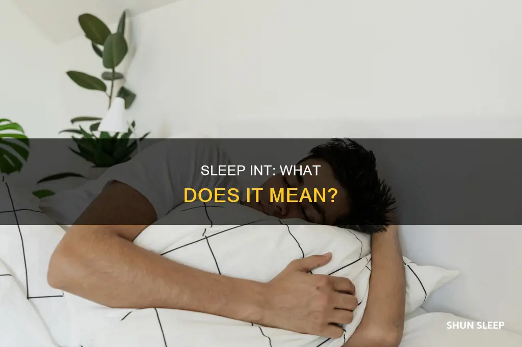 what does sleep int mean