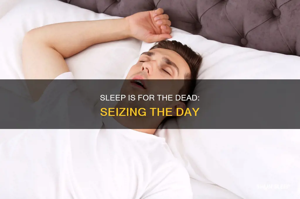 what does sleep is for the dead mean