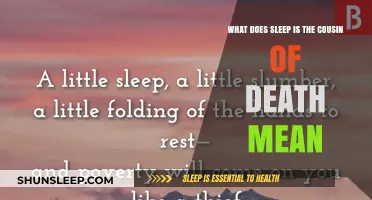 Exploring Sleep's Link to Death: A Cousinly Relationship