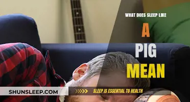 How Pigs Sleep: Understanding the Unique Sleep Patterns of Pigs