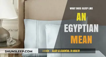 How Ancient Egyptians Slept Like Royalty