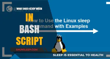 Understanding Sleep in Bash Scripting