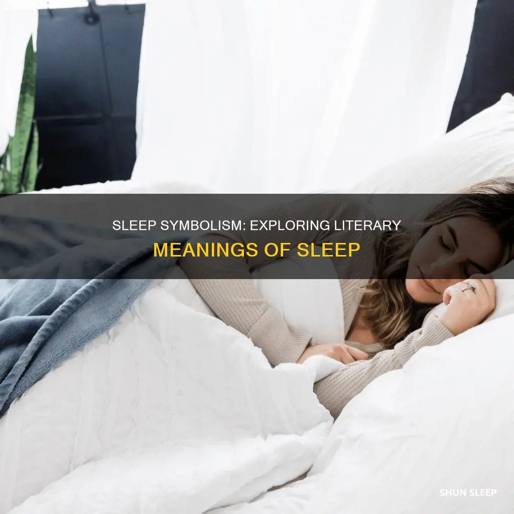 what does sleep mean in literature