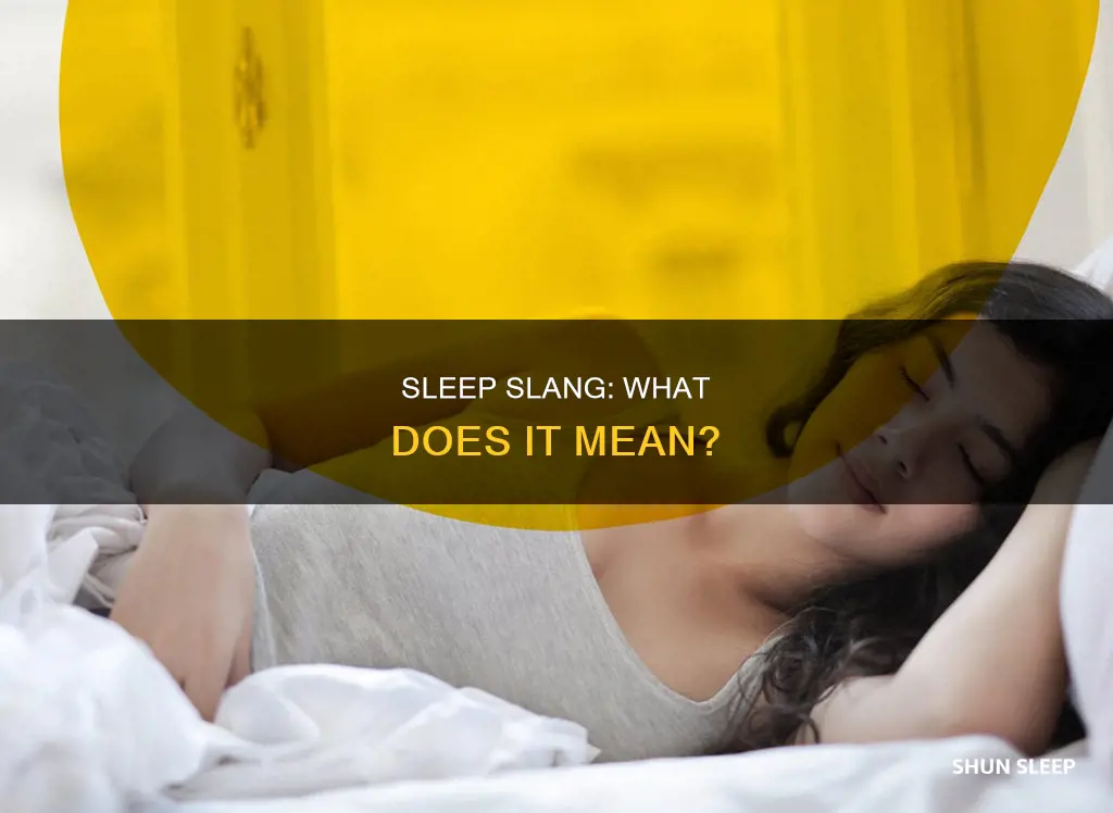 what does sleep mean in slang