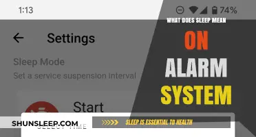 Understanding the Meaning of 'Sleep' in Alarm Systems