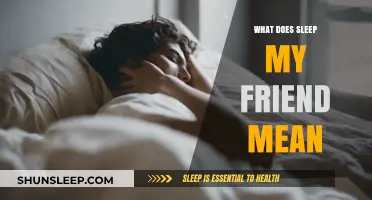 Understanding Sleep: Friend or Foe?