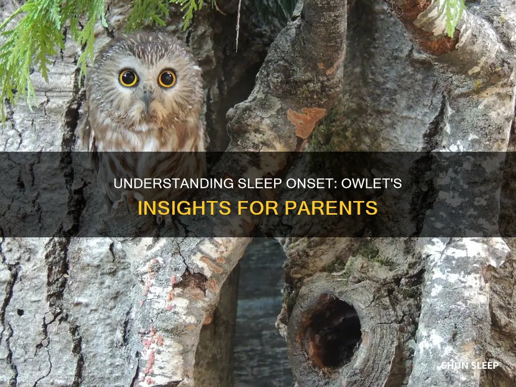 what does sleep onset mean on owlet