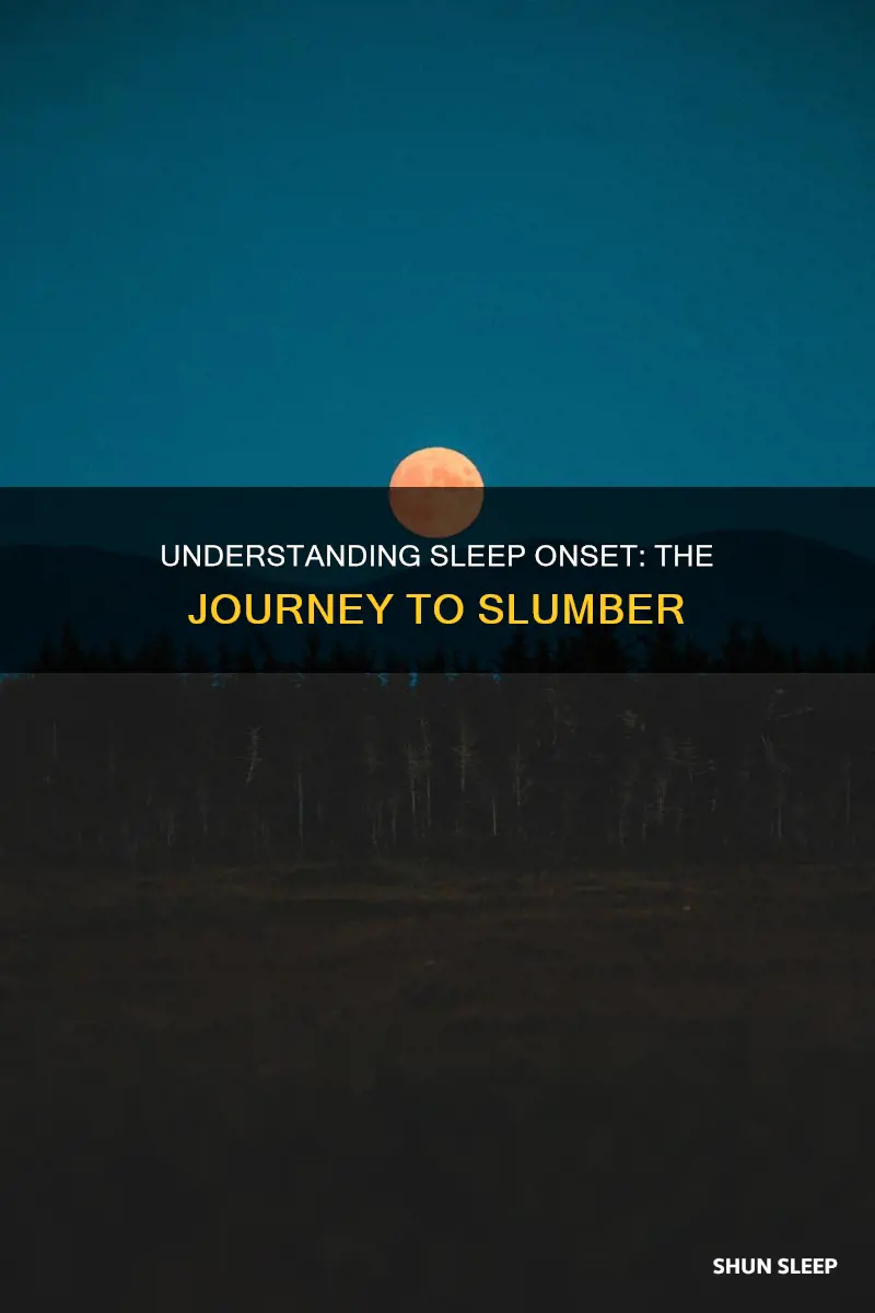 what does sleep onset mean