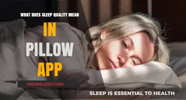 Pillow App: Understanding Your Sleep Quality