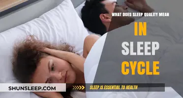 Understanding Sleep Quality: Sleep Cycle Insights