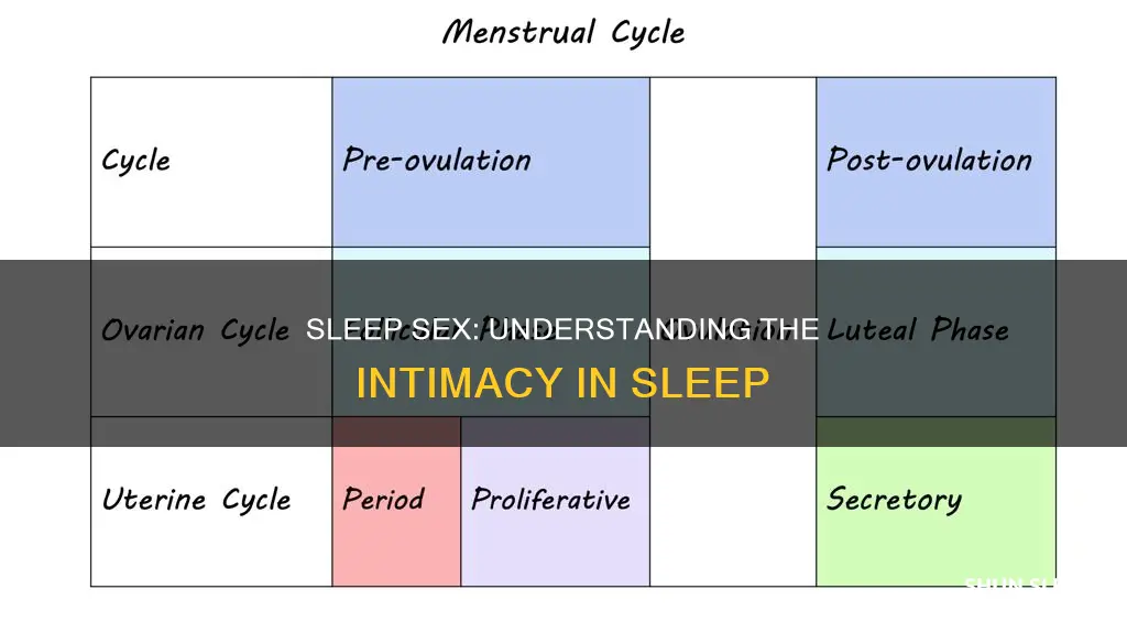 what does sleep sex mean