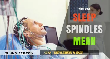 Sleep Spindles: Brain's Superpower Explained