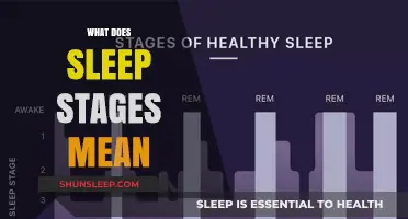 Sleep Stages: Understanding Your Sleep Cycles