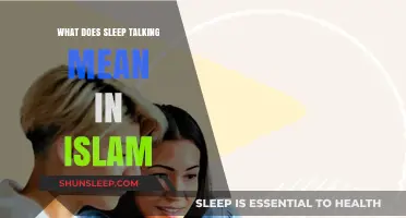 Sleep Talking: Islamic Interpretations and Meanings