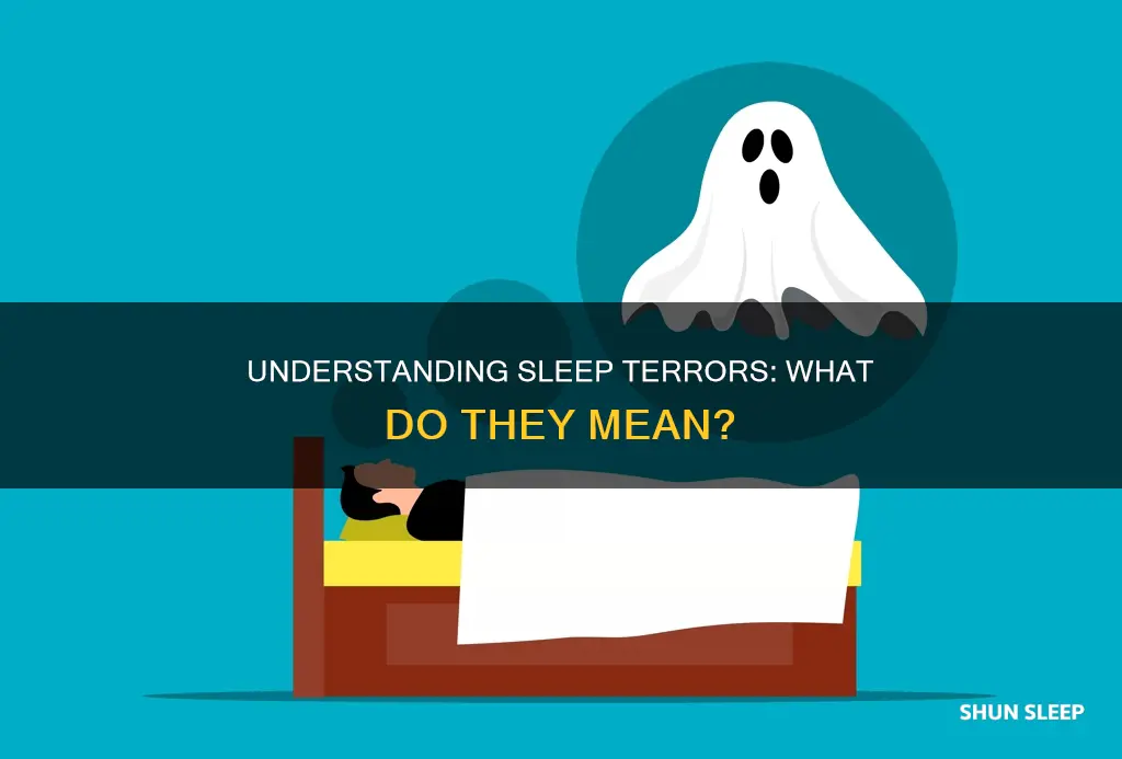 what does sleep terrors mean