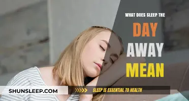 Sleep All Day: What Does It Mean?