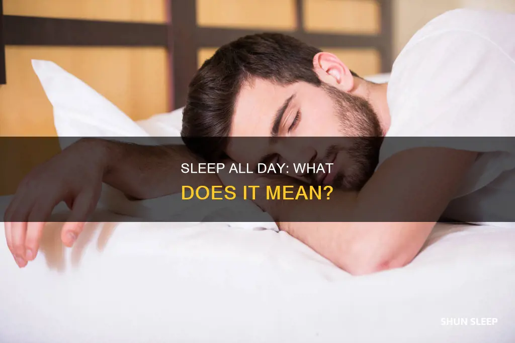 what does sleep the day away mean