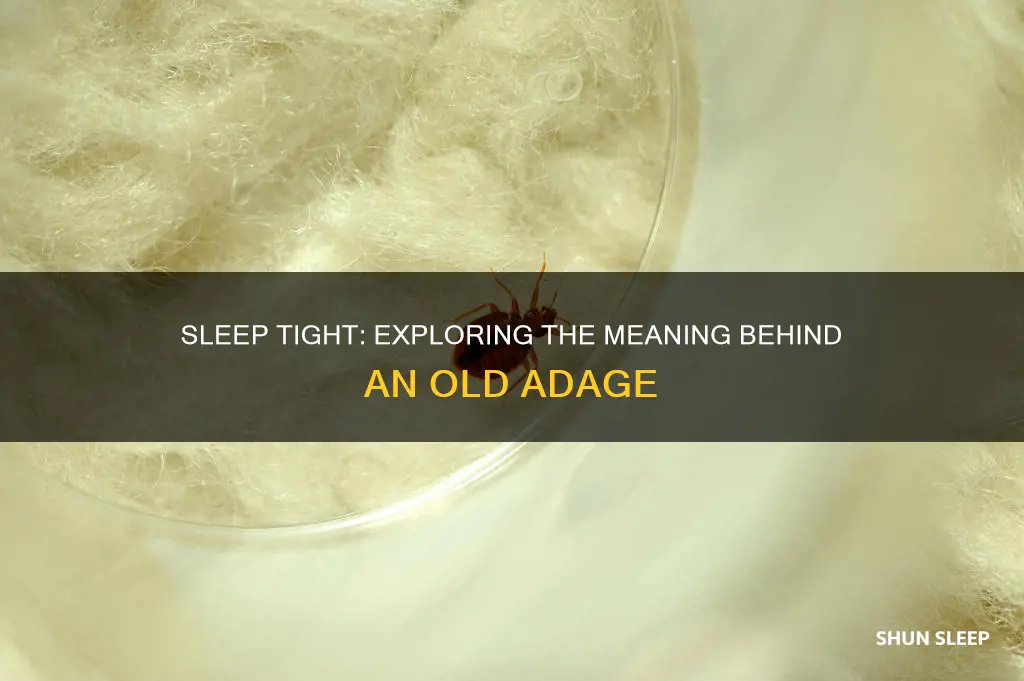 what does sleep tight don