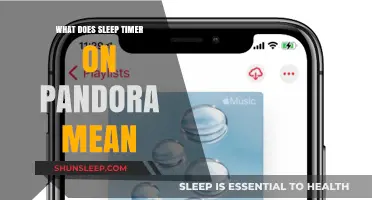 Understanding Pandora's Sleep Timer Feature