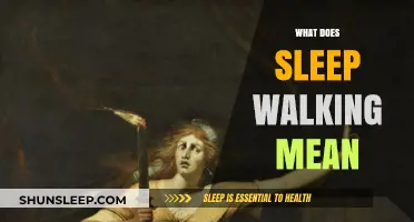 Sleep Walking: Unconscious Wandering and its Meanings