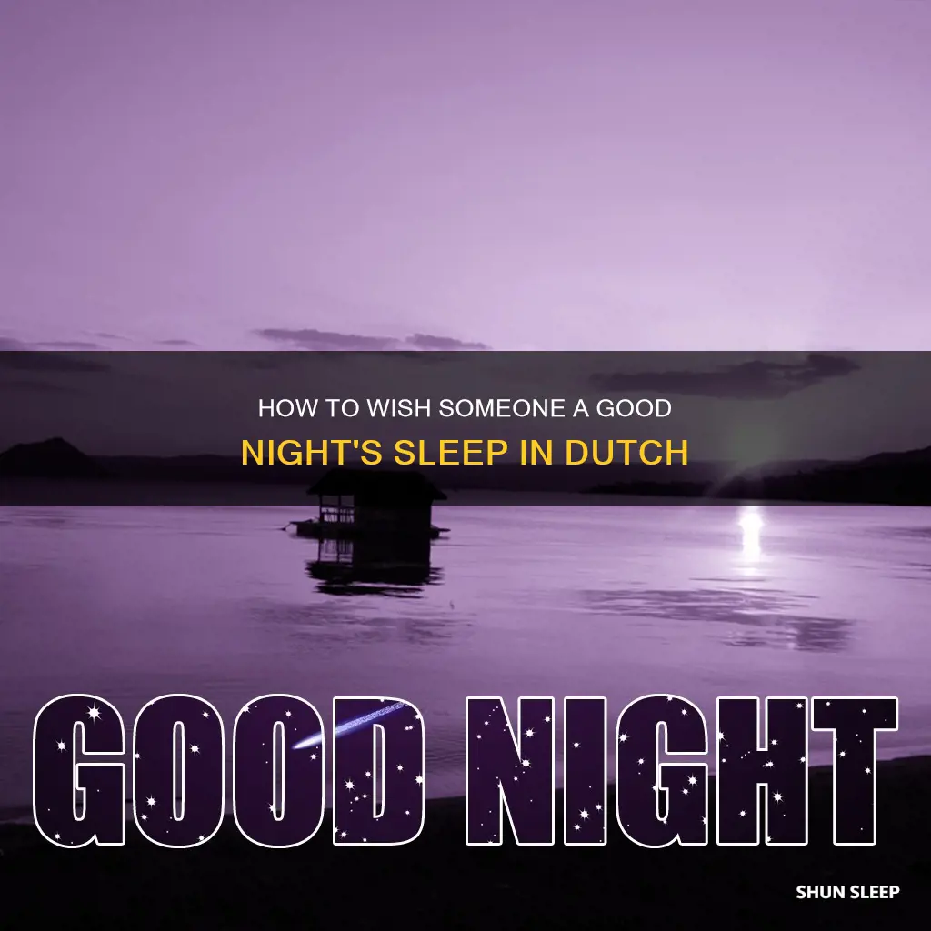 what does sleep well mean in dutch