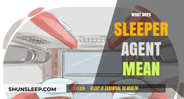 Uncover the Meaning of Sleeper Agents