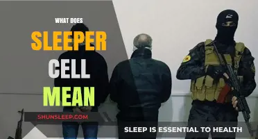 Understanding the Concept of Sleeper Cells