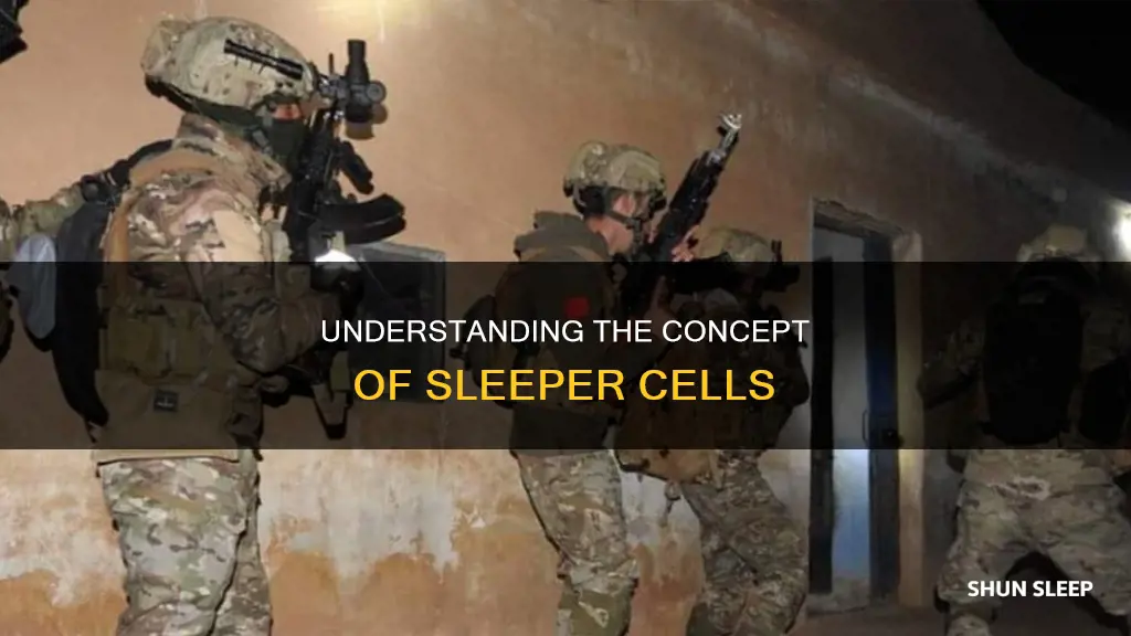 what does sleeper cell mean