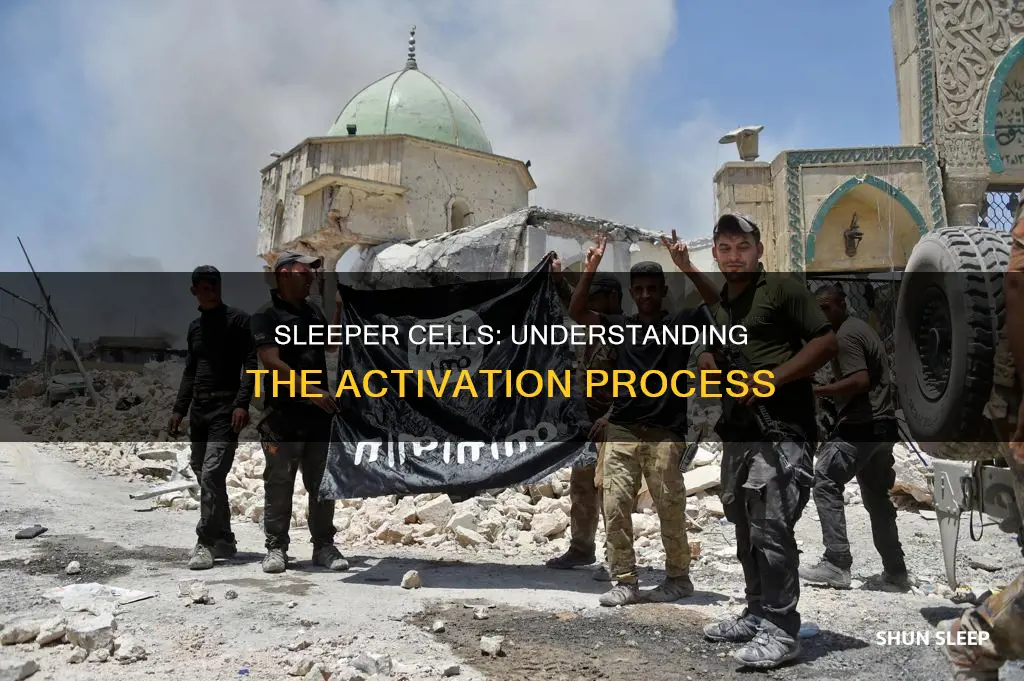 what does sleeper cells activated mean