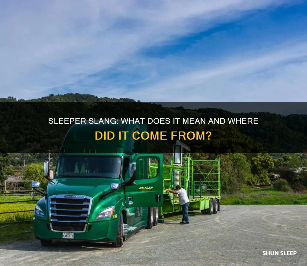 what does sleeper mean in slang