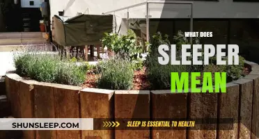 The Mystery of Sleepers: Unraveling the Unknown