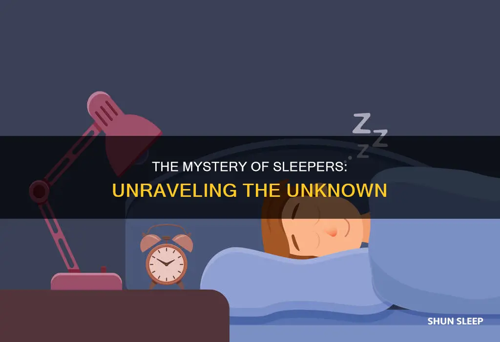 what does sleeper mean