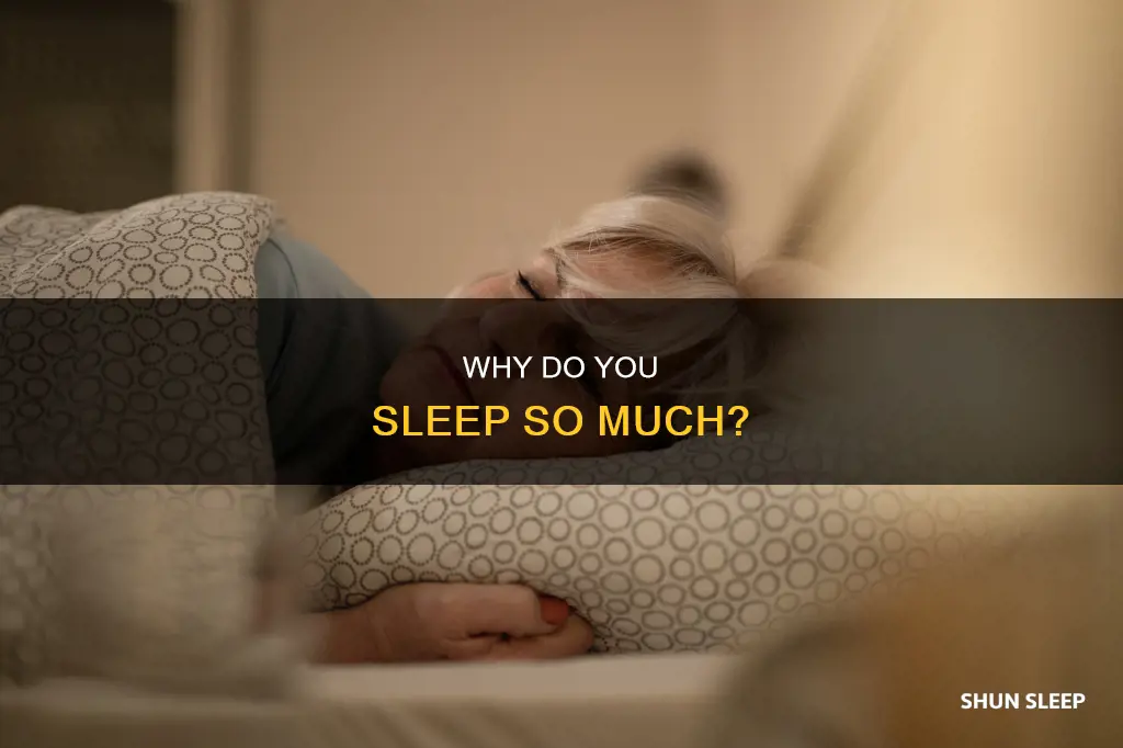 what does sleeping a lot mean