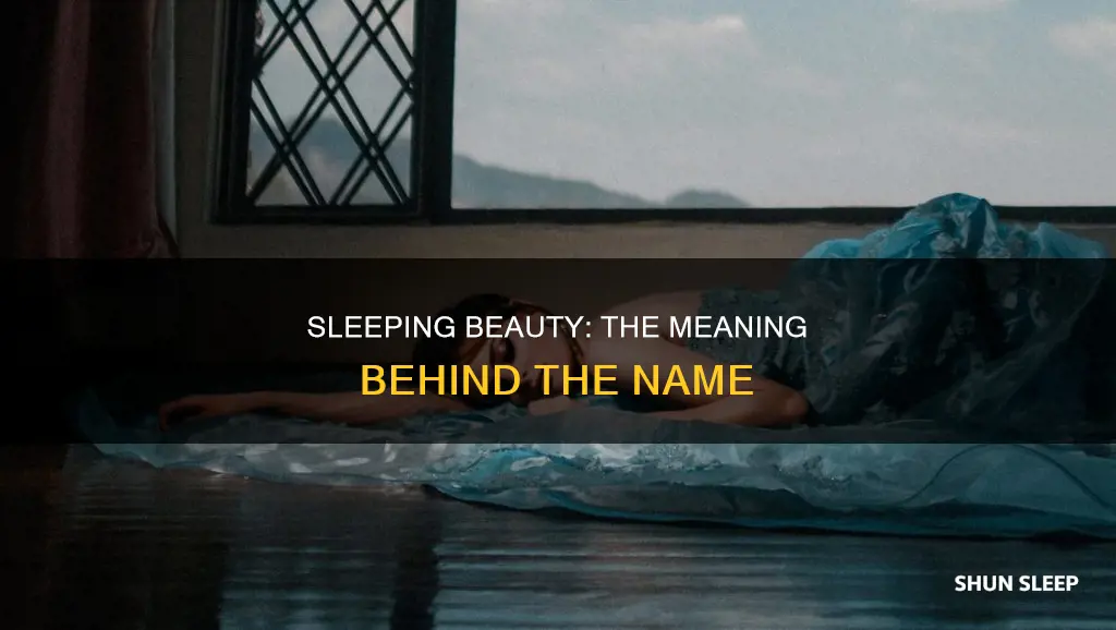 what does sleeping beauty name mean