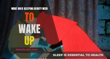 The Sleeping Beauty's Awakening: What Does She Need?
