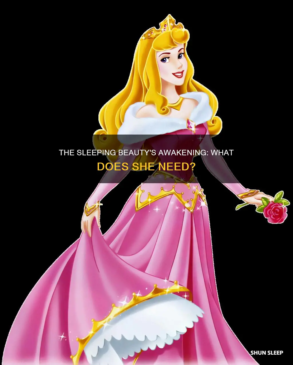 what does sleeping beauty need to wake up
