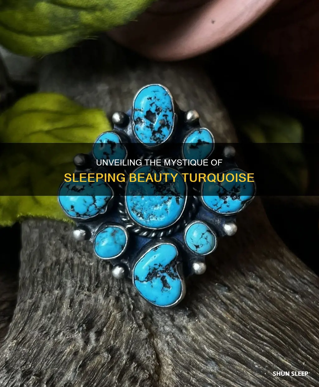 what does sleeping beauty turquoise mean