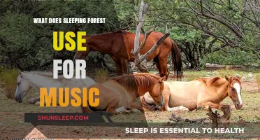 The Music Behind Sleeping Forest's Success