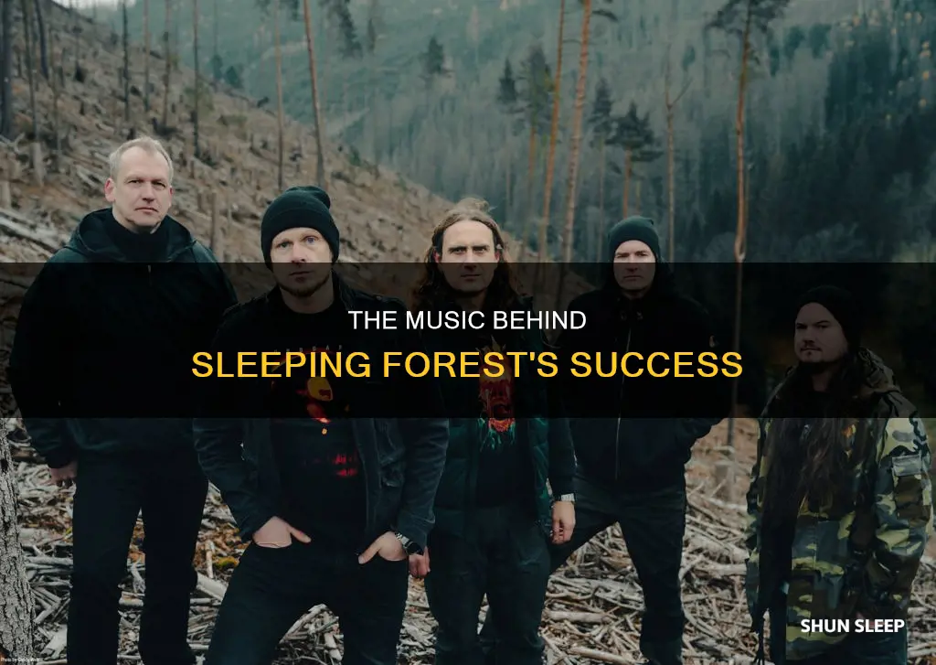 what does sleeping forest use for music