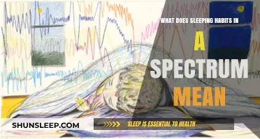 Sleep Habits: A Spectrum of Healthy Sleep Patterns