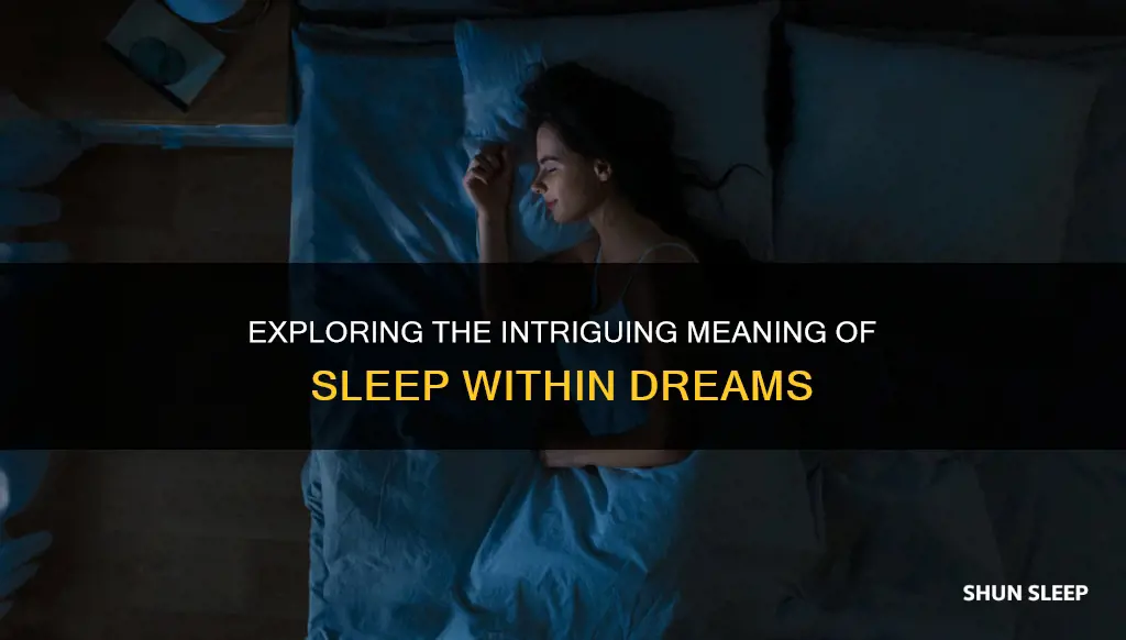 what does sleeping in a dream mean
