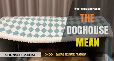 Sleeping in the Doghouse: What's the Real Meaning?