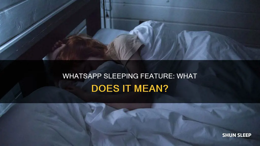 what does sleeping mean in whatsapp