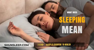 Exploring Sleep: Unraveling the Mystery of Slumber