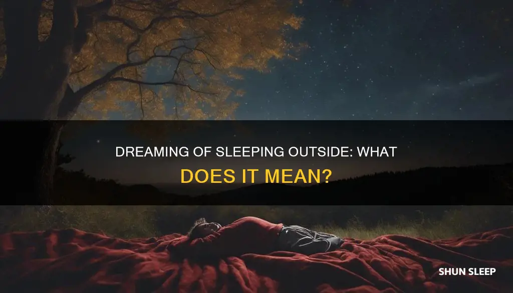 what does sleeping outside in a dream mean